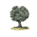 Wein-Korb