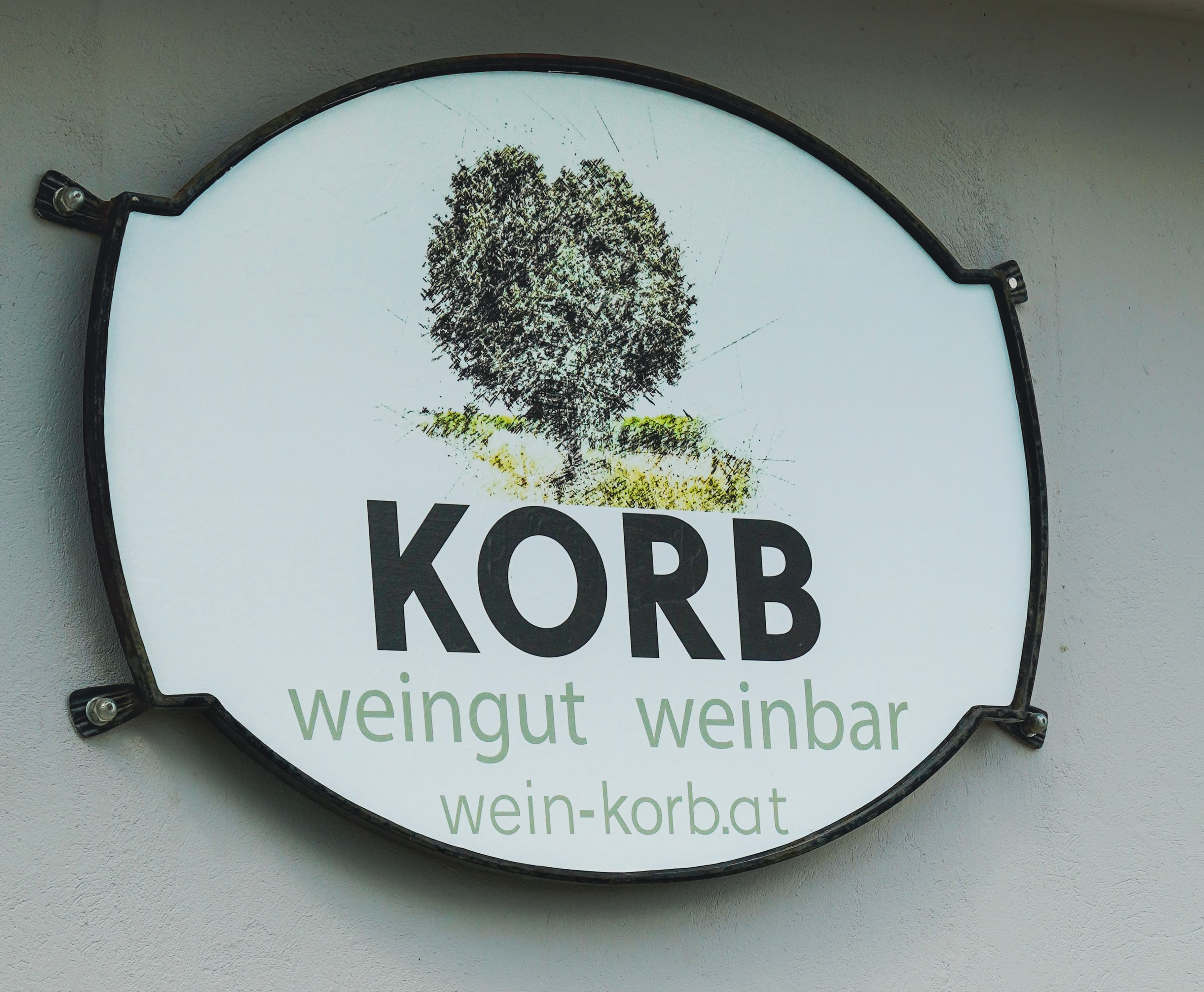 Reben und Weinberg